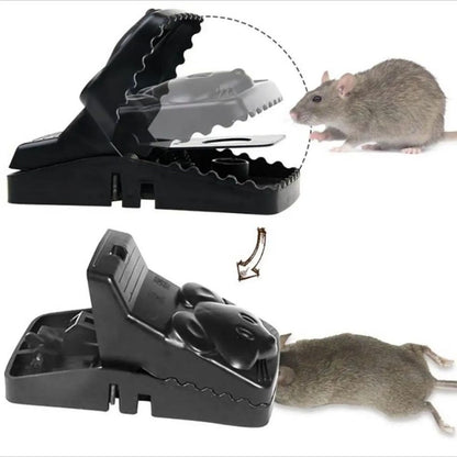 Reusable Rat Trap