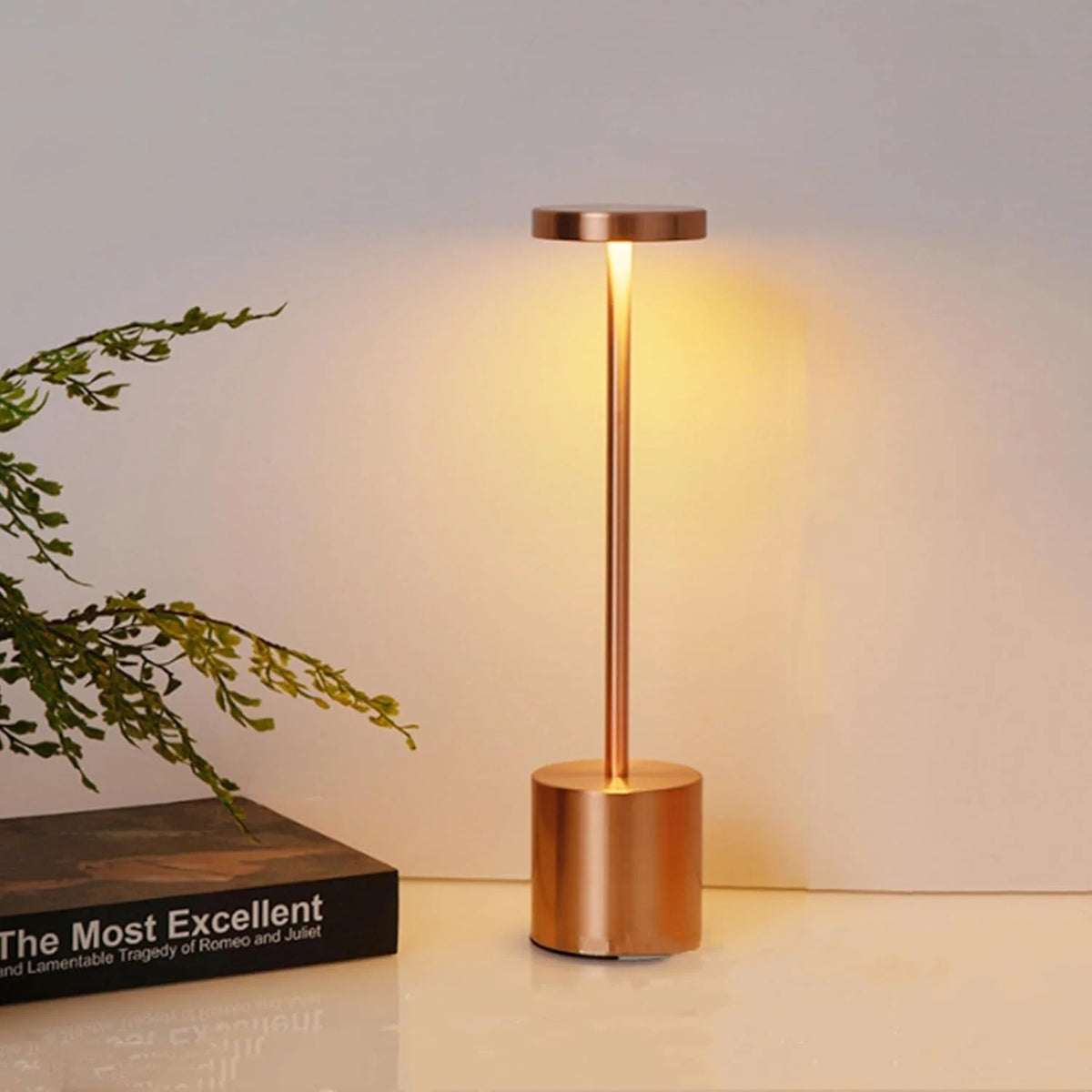 Rechargeable LED Night Light Desk Lamp