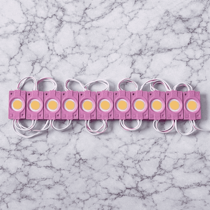 High-Intensity LED Coin Module Lights